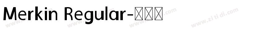 Merkin Regular字体转换